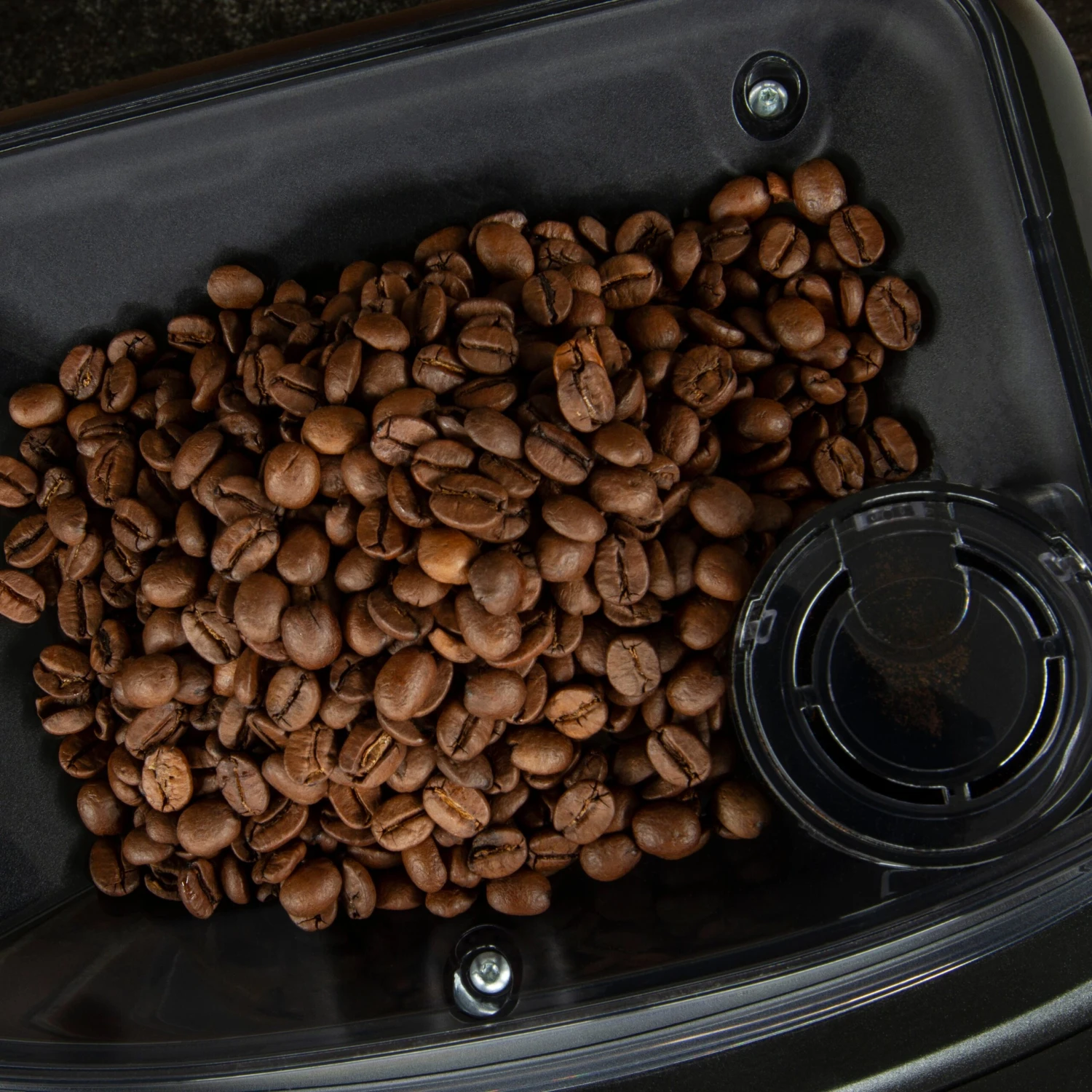 Gaggia Cadorna Barista Plus Automatic Espresso Machine - Dark Chocolate Straight Grain 7 Gaggia Cadorna Barista Plus Automatic Espresso Machine - Dark Chocolate Straight Grain - Image 7